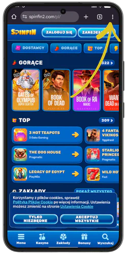Main page spinfin app