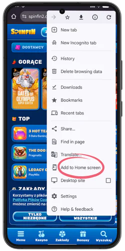Settings Spinfin Kasyno