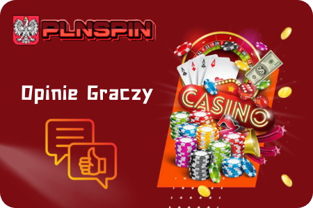 Opinie graczy o Plnspin Apk